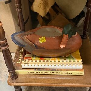 Decorative Duck plant pot